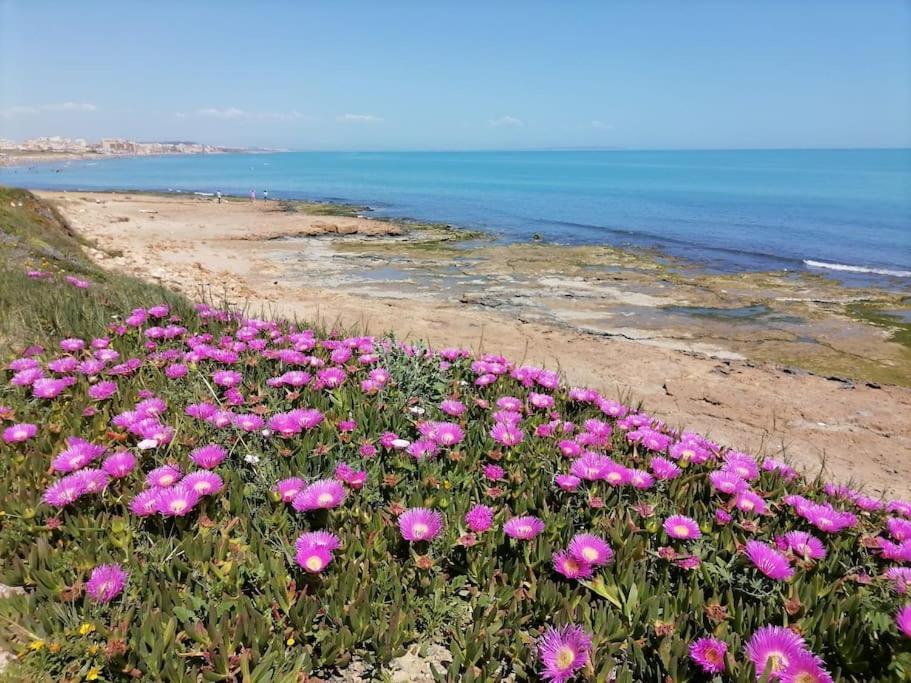 Brand New Apartment. 400 Meters Best Beach Torrevieja Bagian luar foto
