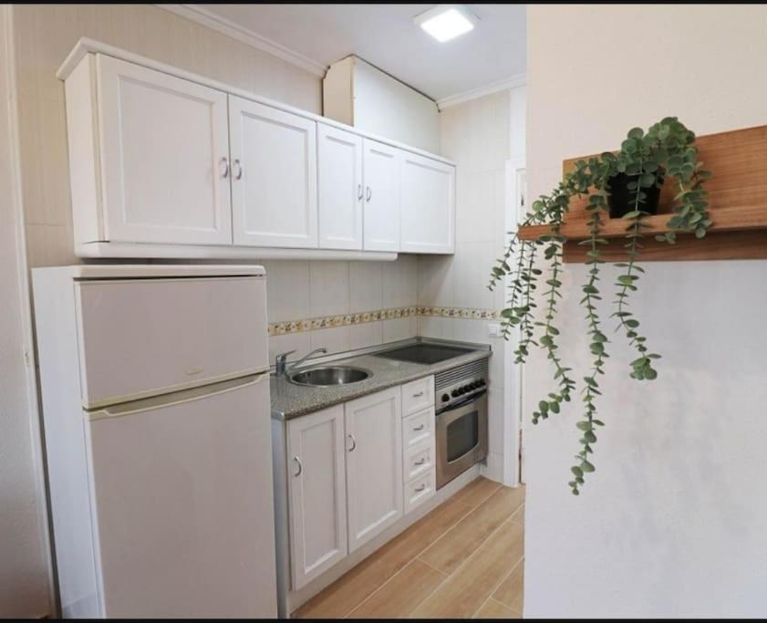Brand New Apartment. 400 Meters Best Beach Torrevieja Bagian luar foto