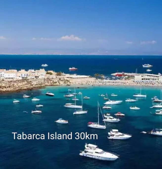 Brand New Apartment. 400 Meters Best Beach Torrevieja Bagian luar foto